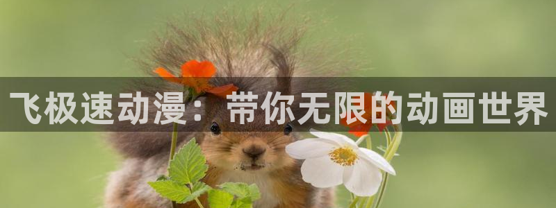 囧次元动漫官方正版：飞极速动漫：带你无限的动画世界