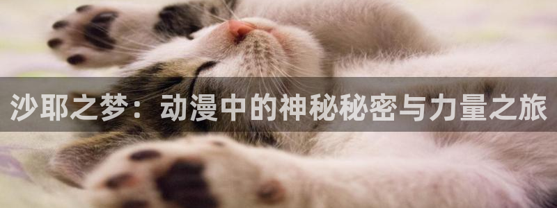 最新版囧次元app下载：沙耶之梦：动漫中的神秘秘密与力量之旅