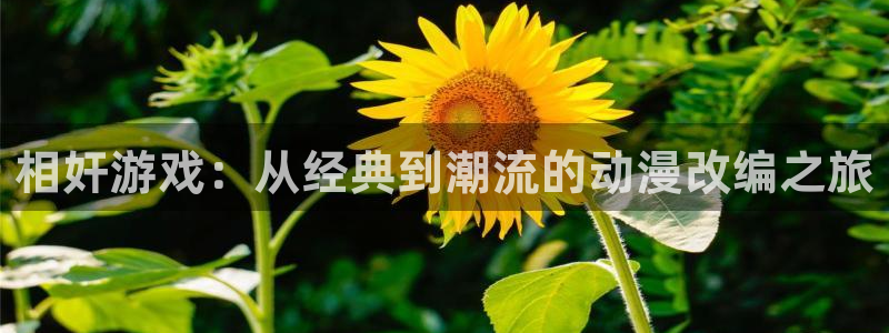 囧次元正版免费下载：相奸游戏：从经典到潮流的动漫改编之旅