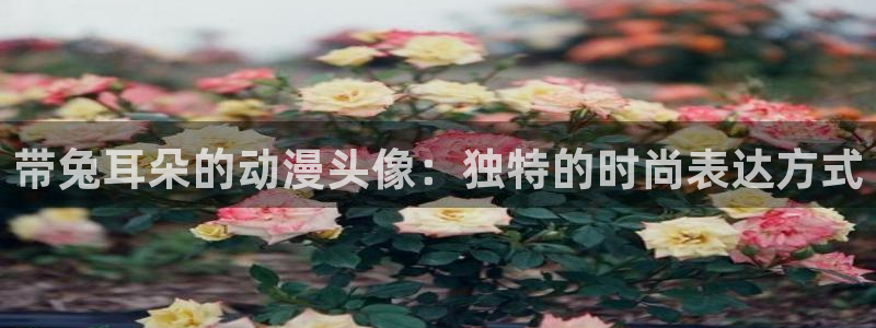 囧次元正版入口：带兔耳朵的动漫头像：独特的时尚表达方式