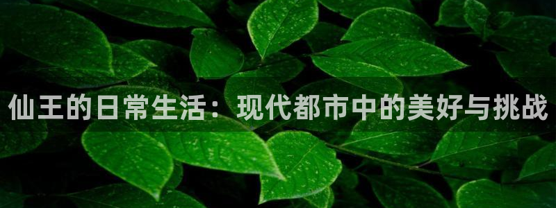 囧次元安卓版下载：仙王的日常生活：现代都市中的美好与挑战