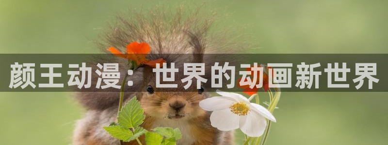 囧次元app最新：颜王动漫：世界的动画新世界
