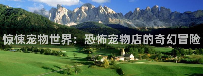 囧次元app官方正版：惊悚宠物世界：恐怖宠物店的奇幻冒险