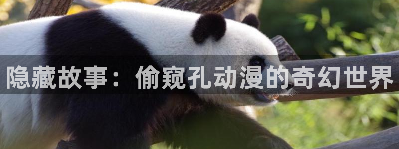 囧次元网站入口：隐藏故事：偷窥孔动漫的奇幻世界