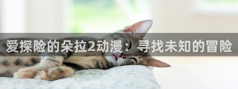 囧次元网站：爱探险的朵拉2动漫：寻找未知的冒险