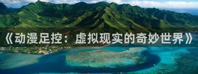 囧囧次元：《动漫足控：虚拟现实的奇妙世界》