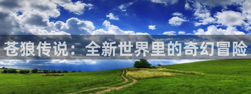 囧次元app下载官方正版：苍狼传说：全新世界里的奇幻冒险
