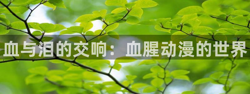 囧次元最新版本：血与泪的交响：血腥动漫的世界