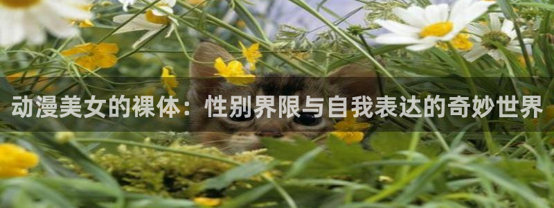 囧次元最新版下载：动漫美女的裸体：性别界限与自我表达的奇妙世界