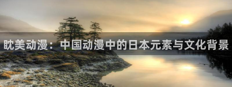 囧次元链接：眈美动漫：中国动漫中的日本元素与文化背景