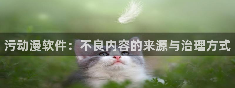 囧次元.：污动漫软件：不良内容的来源与治理方式