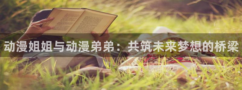囧次元官方入口：动漫姐姐与动漫弟弟：共筑未来梦想的桥梁