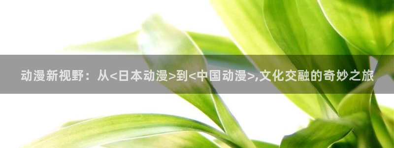 囧次元新版下载：动漫新视野：从<日本动漫>到<中国动漫>,文化交融的奇妙之旅