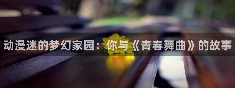 囧次元官方网址：动漫迷的梦幻家园：你与《青春舞曲》的故事