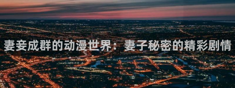 囧次元网站：妻妾成群的动漫世界：妻子秘密的精彩剧情